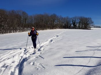 Randonnée Ski de fond Gex - mont mourex - Photo