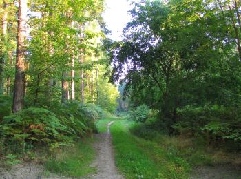 Excursión Senderismo Choisy-au-Bac - en forêt de Laigue_5_09_2019_Mont Moyen_Queue du Bois_Plates Noues - Photo