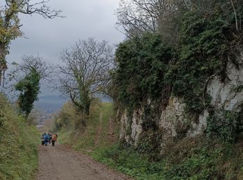 Tour Wandern Joigny - Rando sur les hauteurs de Joigny  - Photo