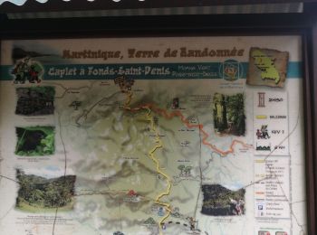 Randonnée Trail Le Morne-Vert - caplet - Photo