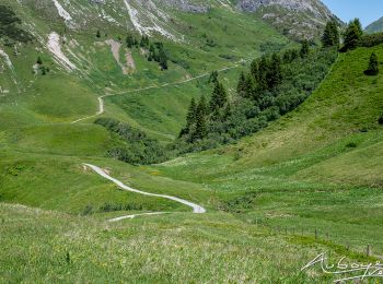 Trail Walking Gemeinde Lech - Boucle à décrire  - Photo