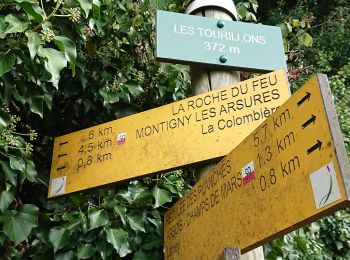 Tour Wandern Montigny-lès-Arsures - Montigny les Arsures  - Photo