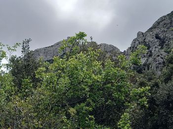 Trail Walking Aureille - Tour des Opies retour les Barres rouges - Photo