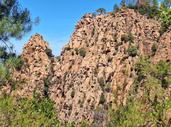 Tocht Stappen Piana - tour des châtaigniers de palani - Photo