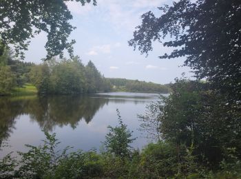 Tour Wandern Florenville - rando les epioux 20-08-2024 - Photo