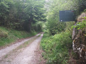 Tocht Stappen Quillan - Cathares E4 Quillan Quirbajou 04.06.2019 - Photo