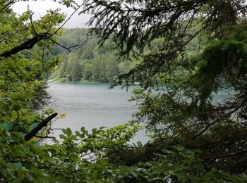 Randonnée Marche  - lac Plivice - Photo