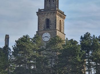 Tocht Stappen Reillanne - 2024-03-01 Tour de Reillanne  - Photo