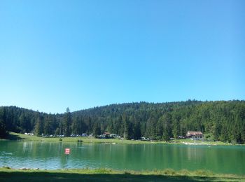 Excursión A pie Apremont - Le Lac Genin - Photo