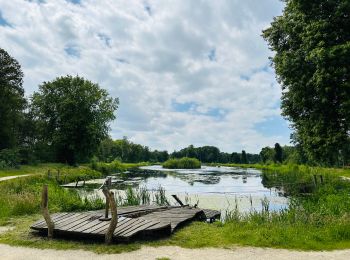 Tocht Stappen Hamont-Achel - de-groote-heide-warmbeek-instapplaats-domein-de-bever-thema - Photo