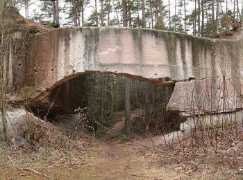 Randonnée A pied Georgensgmünd - Steinbruchweg Georgensgmünd - Photo