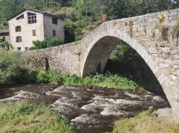 Tour Wandern Saint-Georges-en-Couzan - Randonnée au dessus de Vaux - Photo