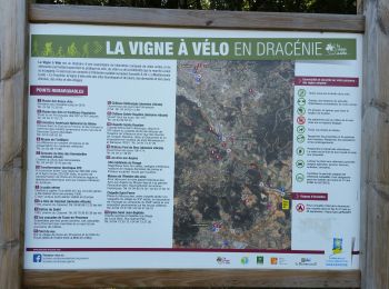 Excursión Bici de montaña Draguignan - 20190420 Draguignan  Vidauban VTT  - Photo