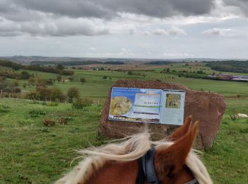 Trail Horseback riding Ernolsheim-lès-Saverne - 2019-10-09 Rando CVA Boucle du Bastberg - Photo