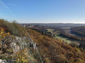 Randonnée Marche Messigny-et-Vantoux - MESSIGNY ; Roche-Château (09-11-2021) - Photo