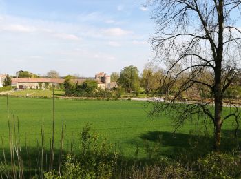 Tocht Mountainbike Cezais - rando cezais - Photo