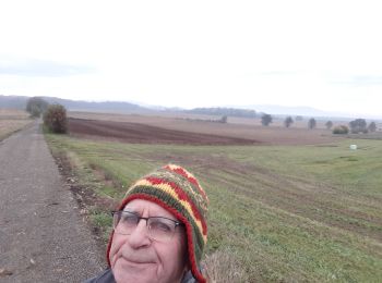 Trail Walking Heimsbrunn - 2019.11.19.HeimEtangGaĺGal.ForetBurn,retourParHauliburg - Photo