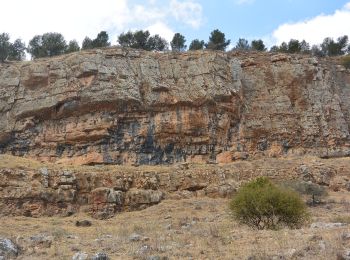 Excursión A pie Qiryat Shemona - IL-2050 - Photo