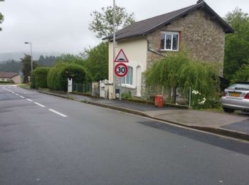 Tocht Te voet Celles-sur-Durolle - Le Puy d'Oscot - Photo