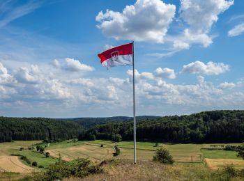 Percorso A piedi Lichtenfels - Verbindungsweg Köttel - Hoher Bühl - Photo