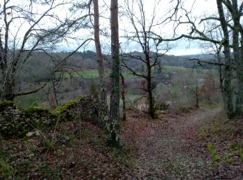 Trail Walking Le Bugue - Le Bugue 17,8km - Photo