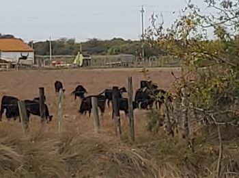 Tocht Wegfiets Agde - bezier aide  - Photo