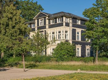 Tocht Te voet Friedrichroda - Regenbergring - Photo