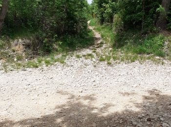 Trail Walking Marsanne - Marsanne 4 - Photo