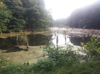 Tour Zu Fuß Ugod - Hubertlaki tanösvény (ZT) - Photo