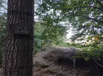 Trail Walking Orlu - Le roc de la péra - Photo