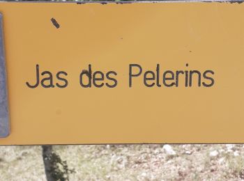 Randonnée Marche Bédoin - Mont Ventoux Jas des Peĺerins - Photo