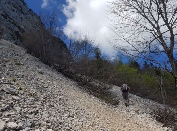 Trail Walking Saint-Nizier-du-Moucherotte - Moucherotte 30 mai 2019 - Photo