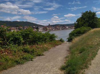 Excursión Bici de carretera Clérieux - 26 st Vallier le pouzin - Photo