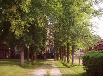 Tocht Te voet Warburg - Rundwanderweg 