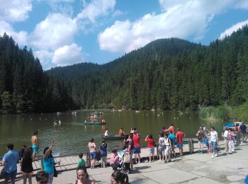 Percorso A piedi Gheorgheni - Lacul Roșu - Avenul Licaș - Photo