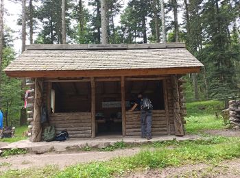 Excursión Senderismo Wihr-au-Val - 24-06-24 abri de Kirzle - Photo