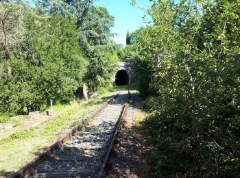 Trail Walking Saint-Cirq-Lapopie - Activity - Photo