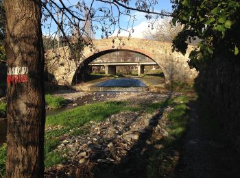Percorso A piedi Castelnuovo Magra - Coll. VF - Olmarello - Sarticola – Monticello – C. Bertella - Photo