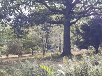 Trail Walking Esneux - arboretum . pisserotte . anc carrière . targnon . villers aux tours . chapelle simon . arboretum - Photo