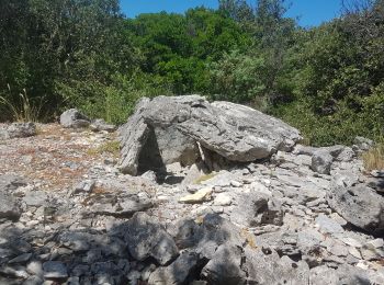 Percorso Marcia Barjac - barjac dolmens avens - Photo