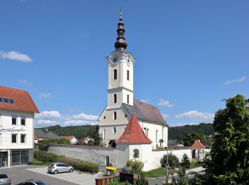 Tour Zu Fuß Sankt Stefan im Rosental - St. Stefan Wanderweg 5 - Photo