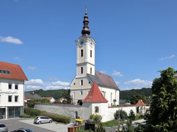 Tocht Te voet Sankt Stefan im Rosental - St. Stefan Wanderweg 5 - Photo