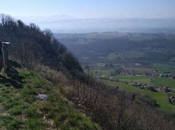 Trail Walking Saint-Genix-les-Villages - le monts tournier - Photo