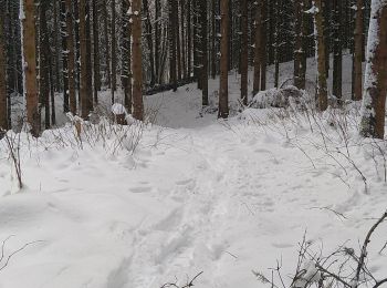 Tocht Sneeuwschoenen Charix - Col du sentier- Lac Genin - Photo