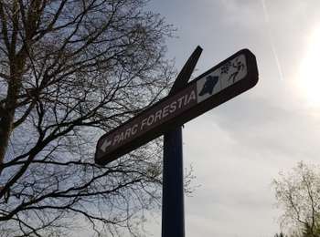 Trail Walking Aywaille - Deigné  - Forestia - Rouge Thier - Photo