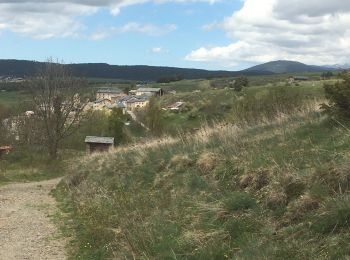 Trail Walking Eyne - Orri del Baix - Photo