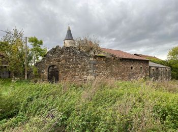 Trail Walking Saint-Haon - Saint Haon GR 470 - Photo