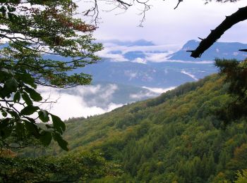 Randonnée A pied Amblar-Don - Prazollsteig - Photo