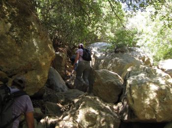 Trail On foot Golan Regional Council - IL-1032 - Photo