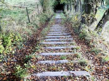 Trail Walking Olne - Balade des grès de Vaux   - Photo